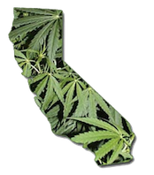 medical marijuana california